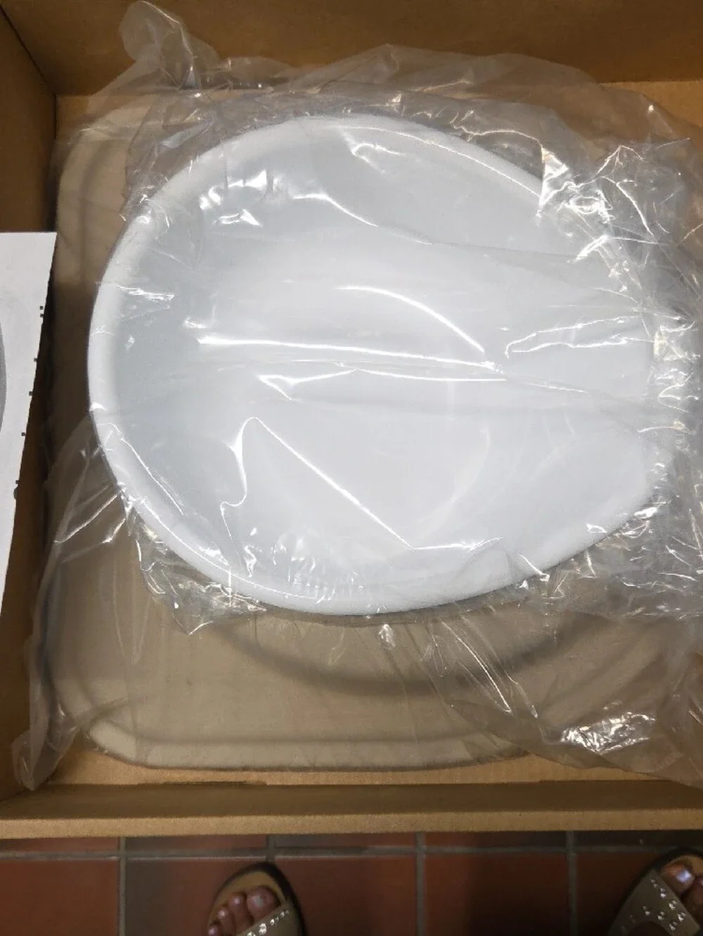 PetComfort Beige Non-Slip Elevated Dog Bowl with White Insert